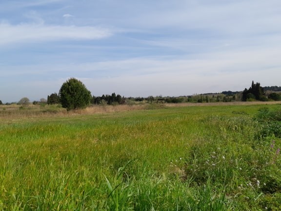 ponteilla-hectare