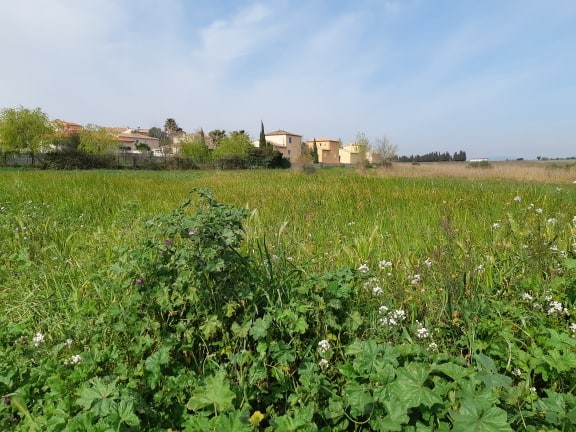 ponteilla-hectare