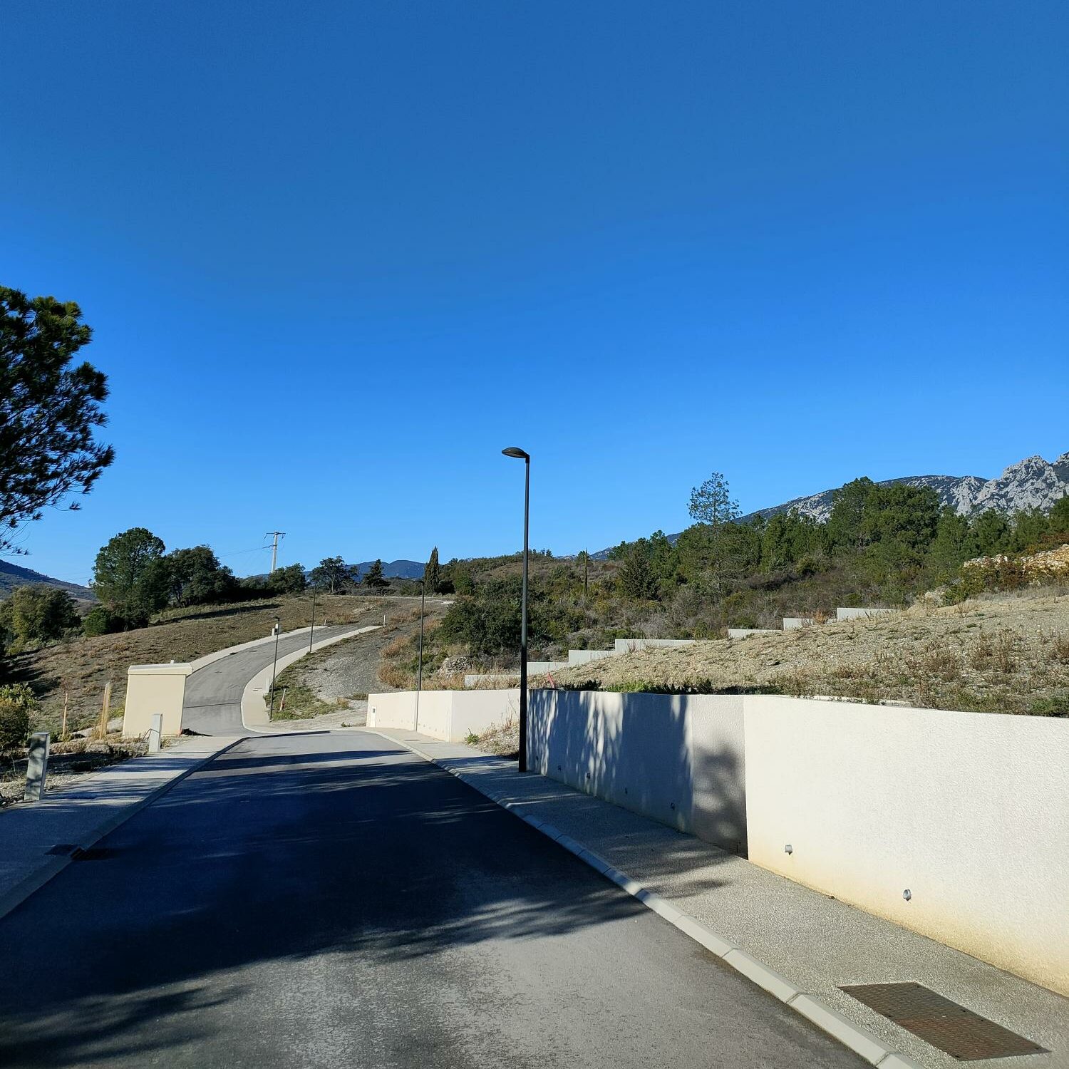 IMG20240118111304