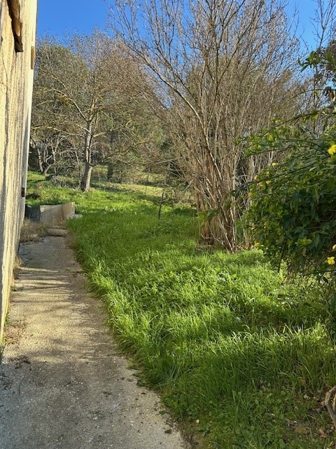 Limoux 2