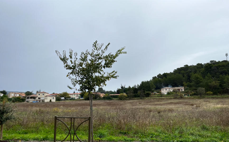 Villeneuve-Minervois terrain à bâtir