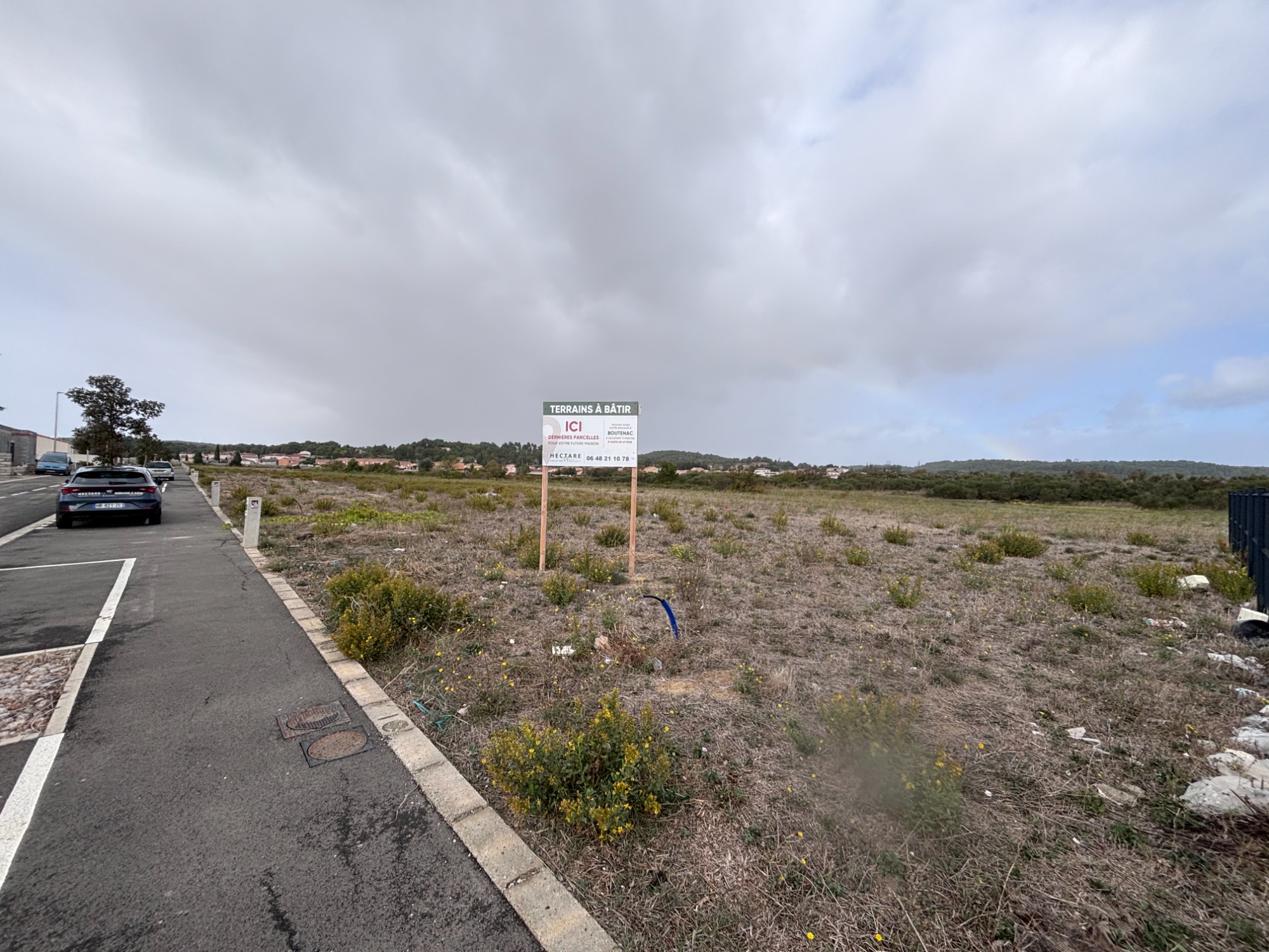 Allée des chênes verts