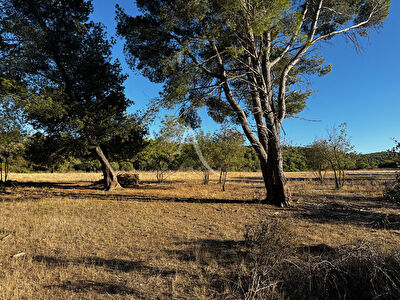 Terrain Boutenac 2