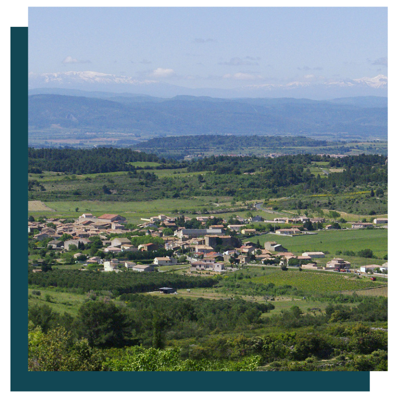 Felines-Minervois-photo-4