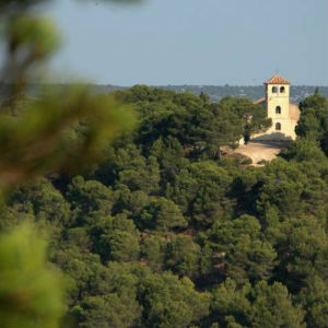 Terrains-à-vendre-Roquefort-Les-Corbières4