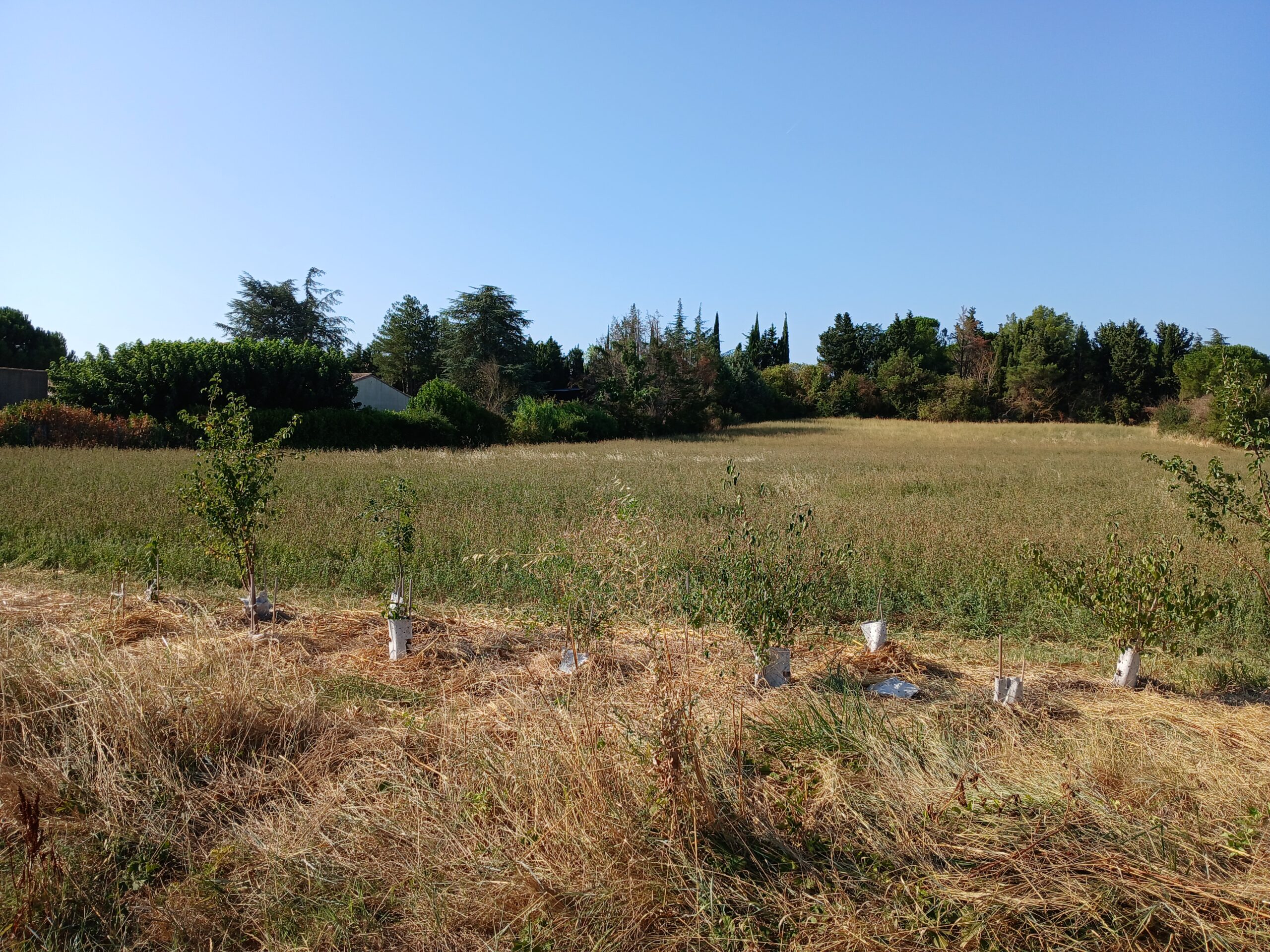 terrain à bâtir à Alairac